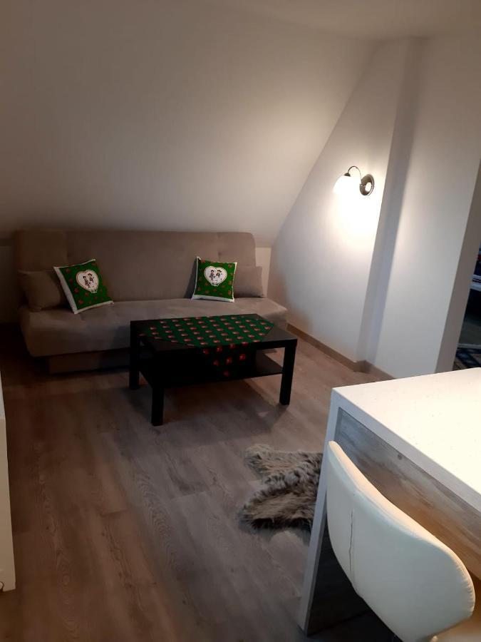 זקופאנה Apartamenty Z Widokiem מראה חיצוני תמונה